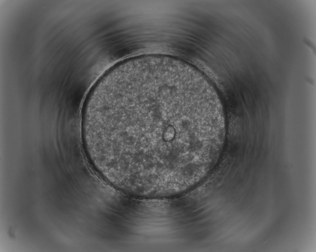 X0000091310836200708311355