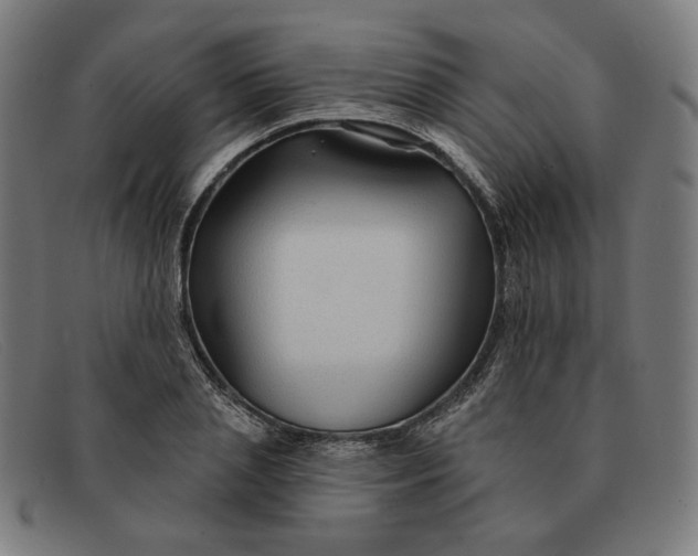 X0000091310837200708311355