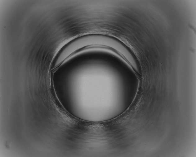 X0000091310838200708311355