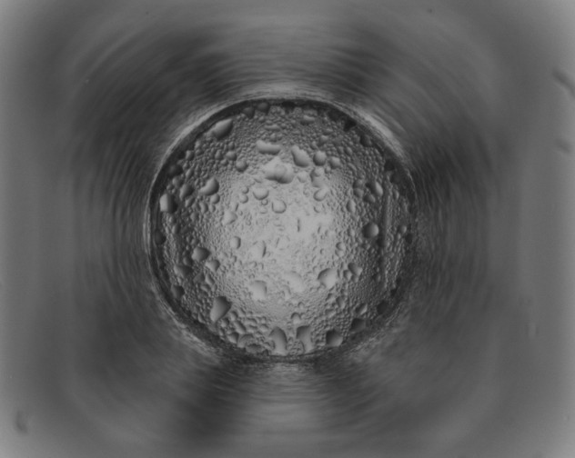 X0000091310839200708311355