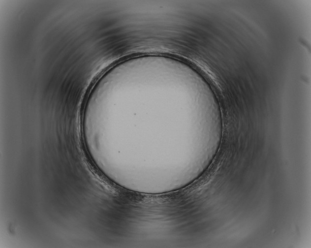 X0000091310840200708311355