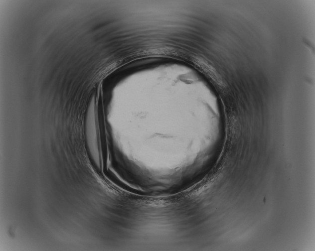 X0000091310841200708311355