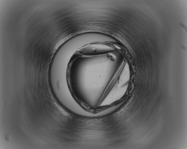 X0000091310842200708311355