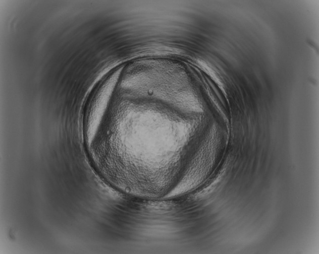 X0000091310843200708311355