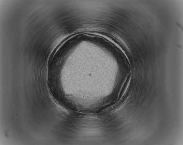 X0000091310844200708311355