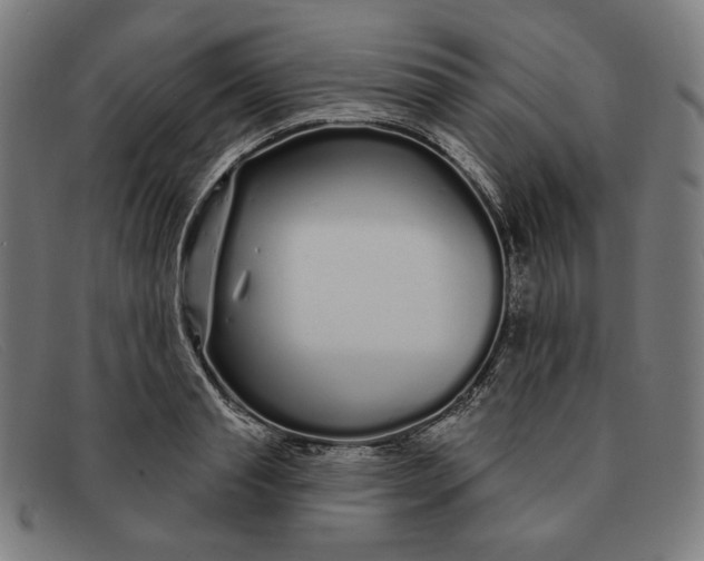 X0000091310845200708311355