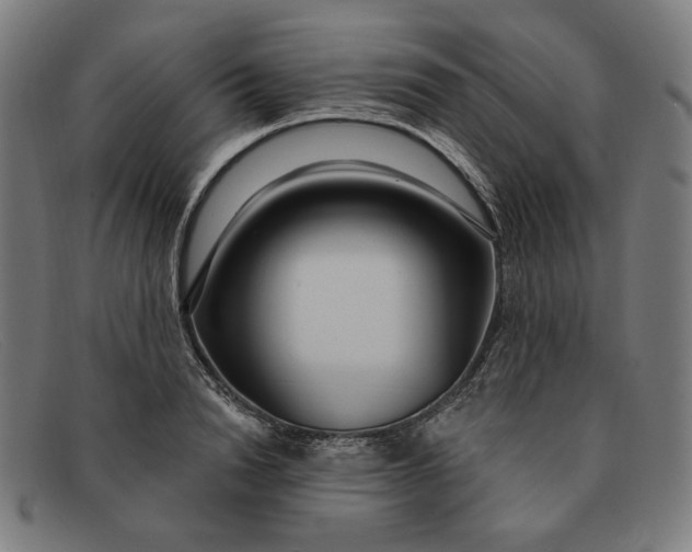 X0000091310846200708311355