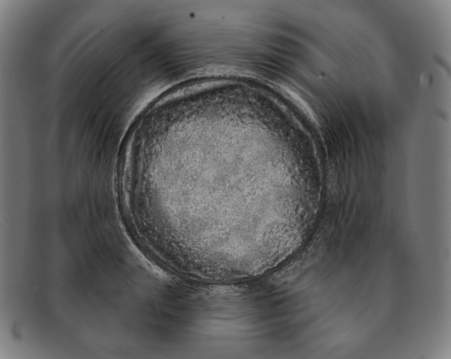 X0000091310847200708311355