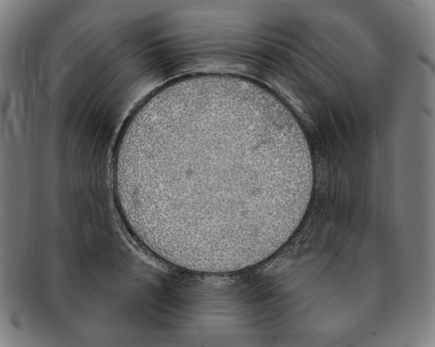 X0000091310848200708311355