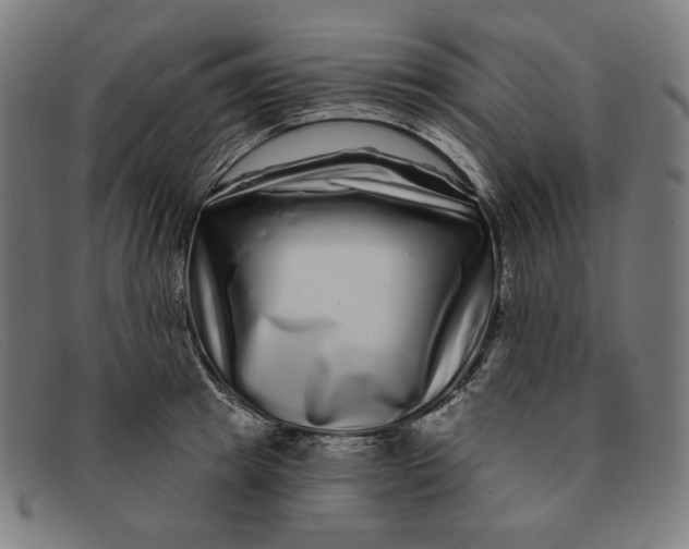 X0000091310849200708311355