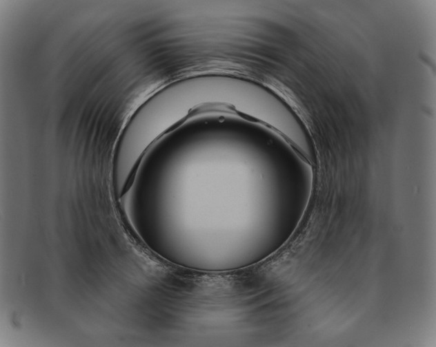 X0000091310850200708311355