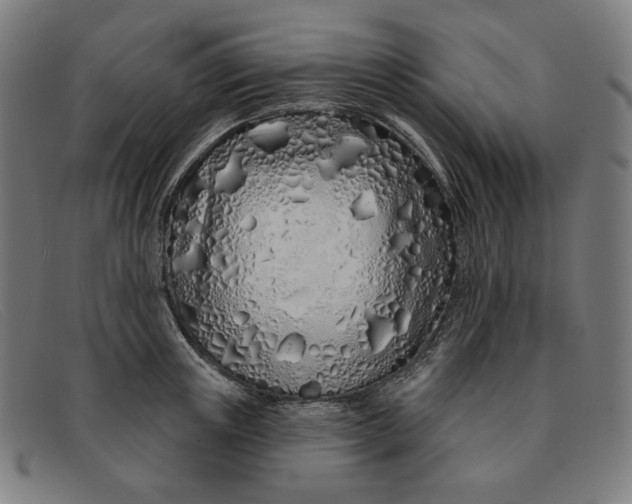 X0000091310851200708311355