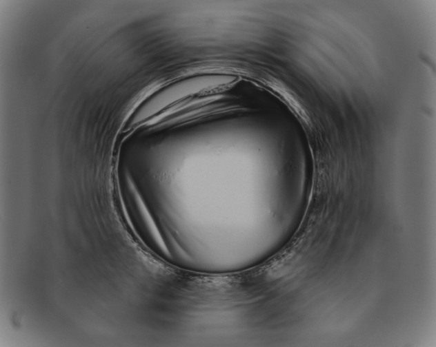 X0000091310853200708311355