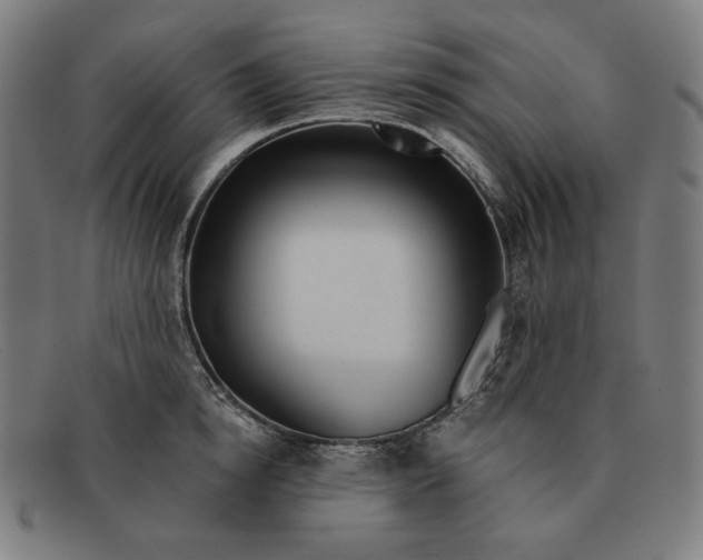 X0000091310854200708311355