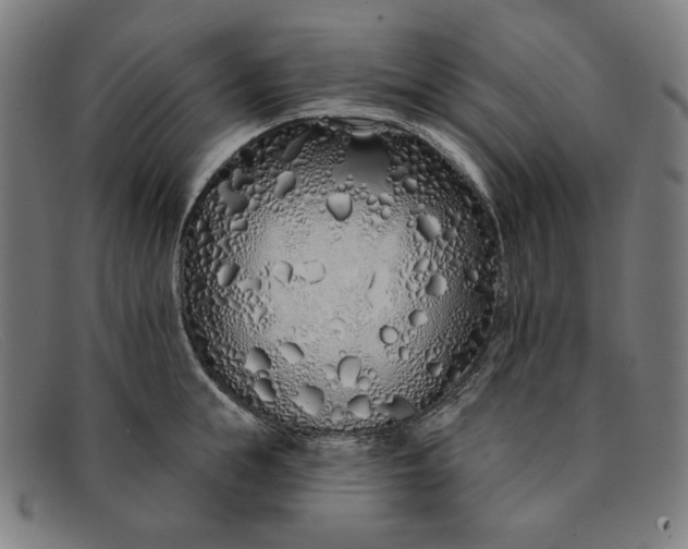 X0000091310855200708311355