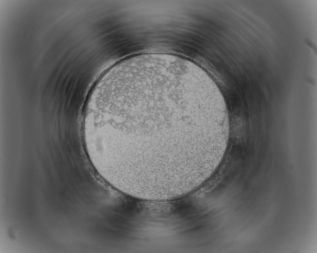 X0000091310856200708311355