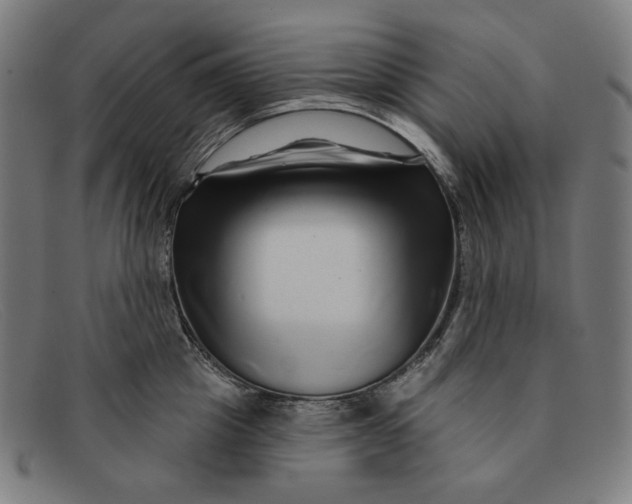 X0000091310857200708311355