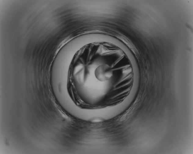 X0000091310858200708311355