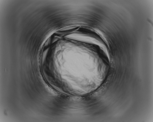 X0000091310859200708311355