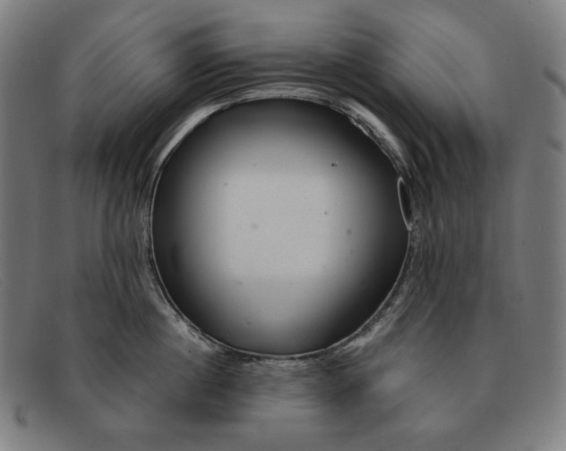 X0000091310860200708311355