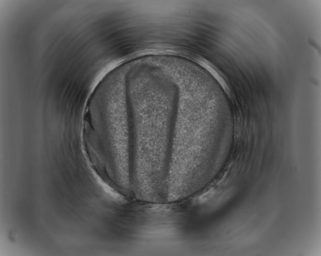 X0000091310861200708311355