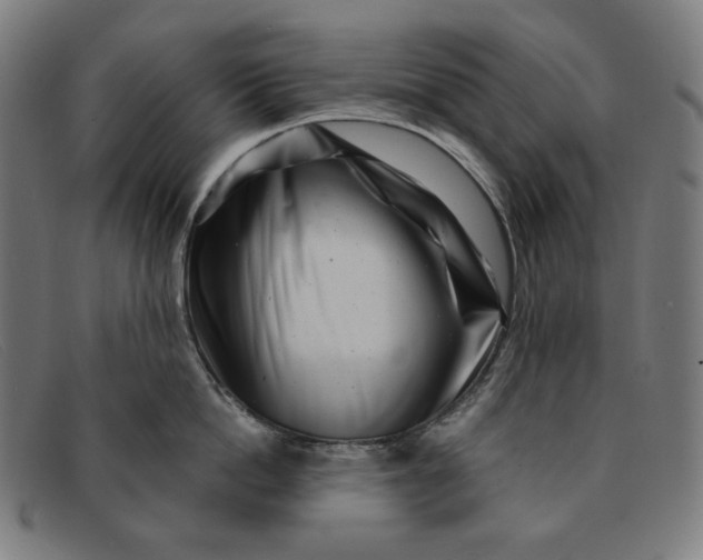 X0000091310862200708311355