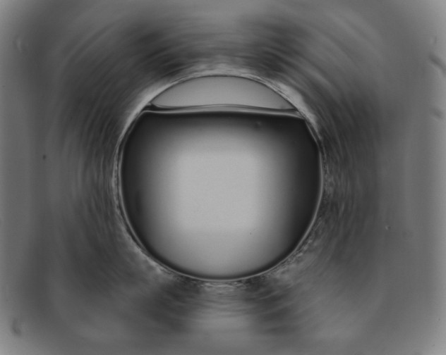 X0000091310863200708311355