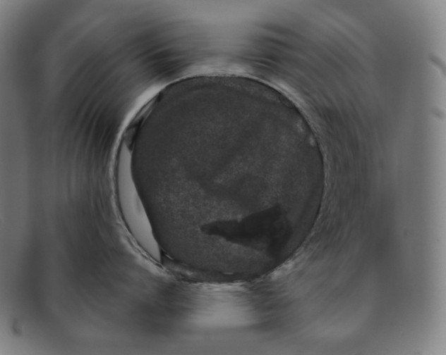 X0000091310864200708311355