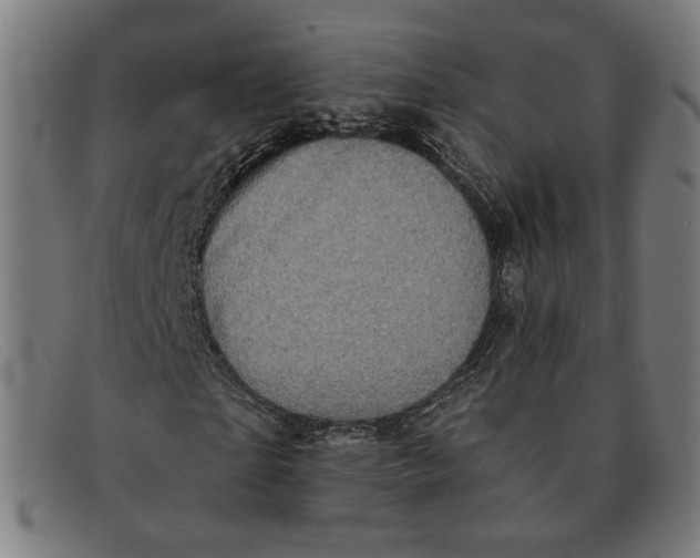 X0000091310865200708311355