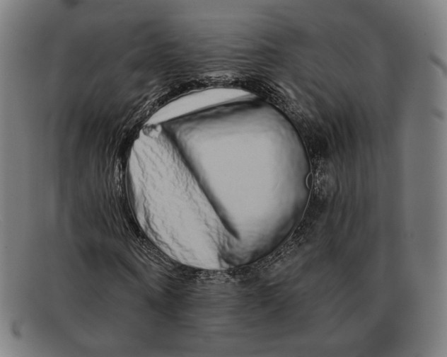 X0000091310866200708311355