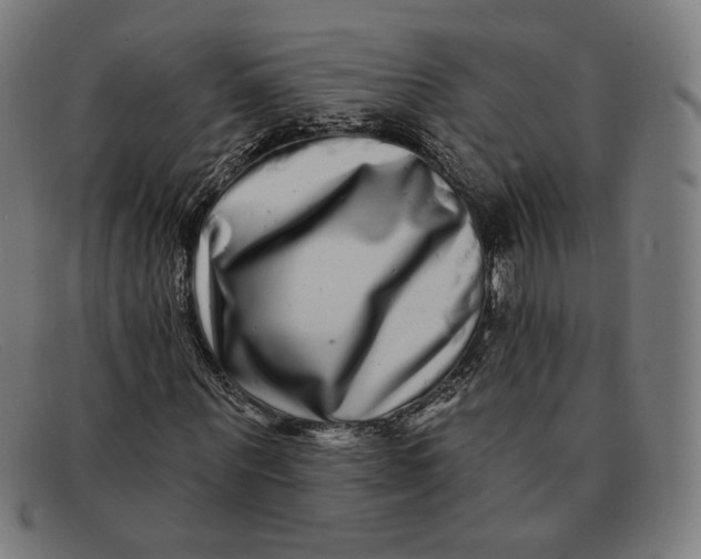 X0000091310867200708311354