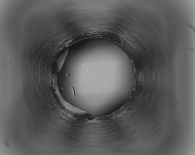 X0000091310868200708311354