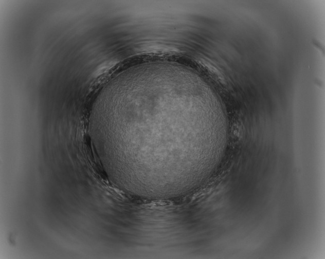 X0000091310869200708311354