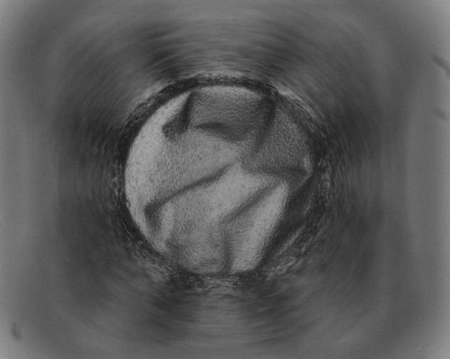 X0000091310870200708311354