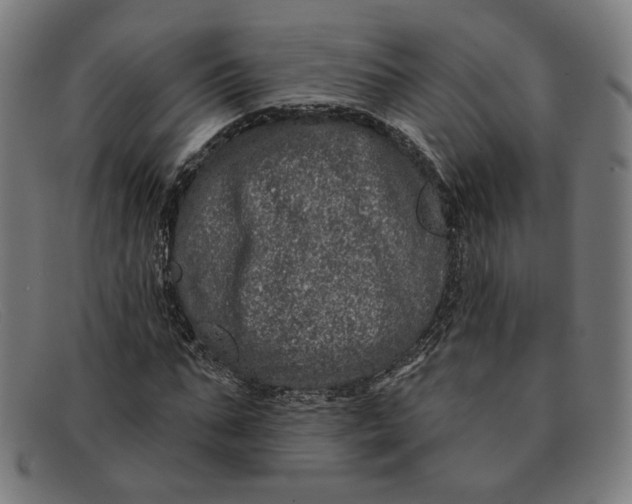 X0000091310871200708311354