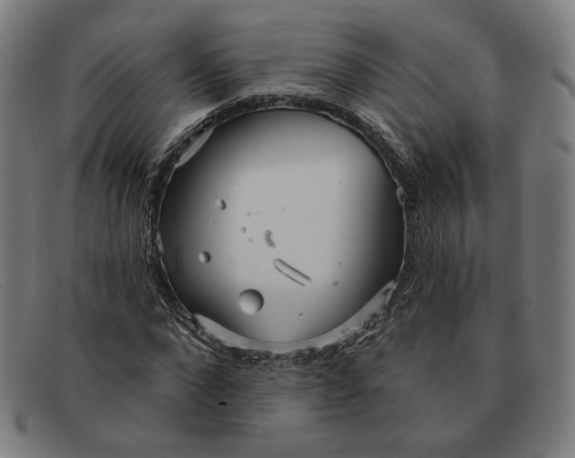 X0000091310872200708311354