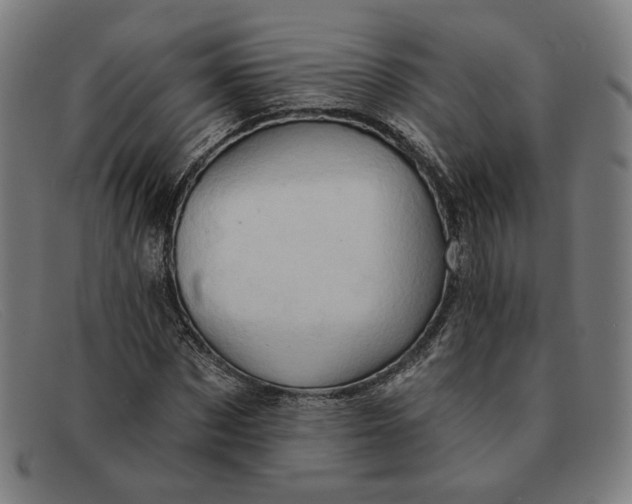 X0000091310873200708311354