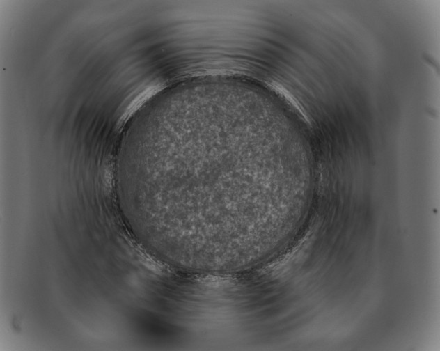 X0000091310874200708311354