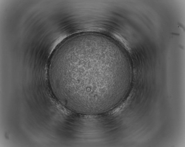 X0000091310875200708311354