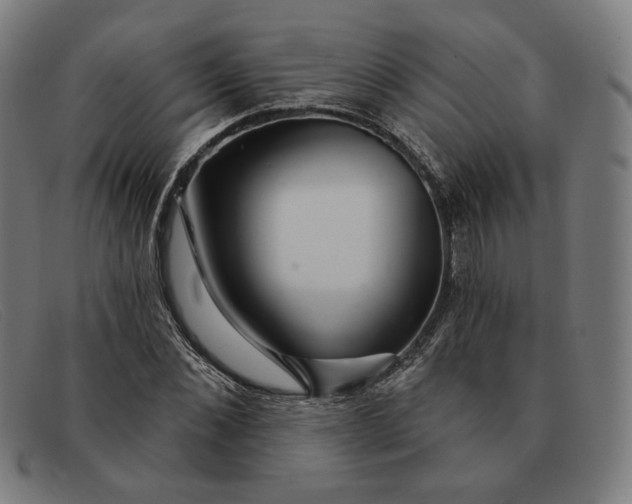 X0000091310876200708311354