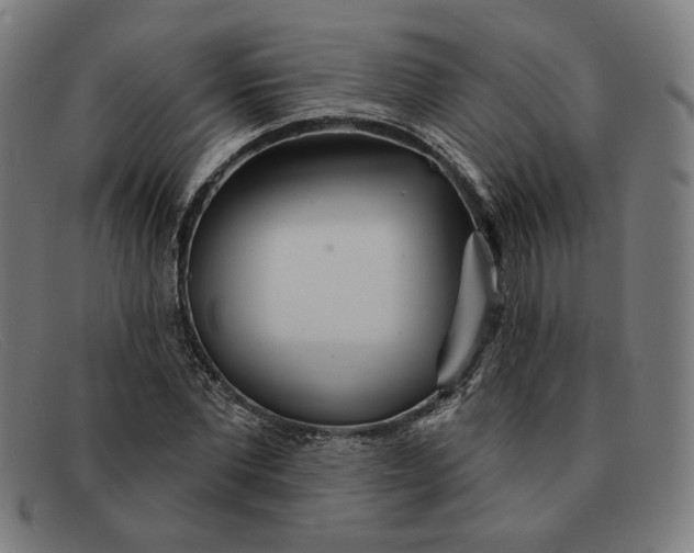 X0000091310877200708311354