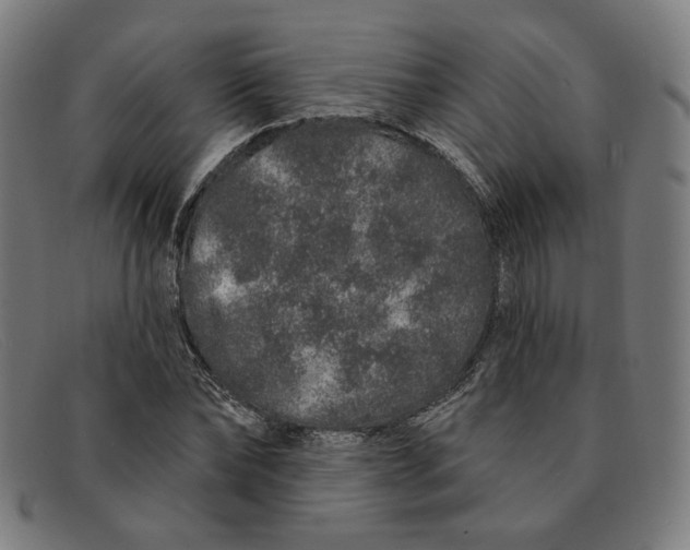 X0000091310878200708311354