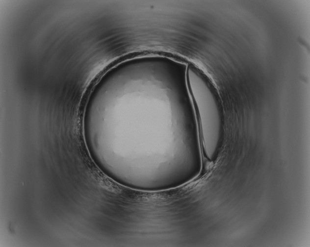 X0000091310879200708311354