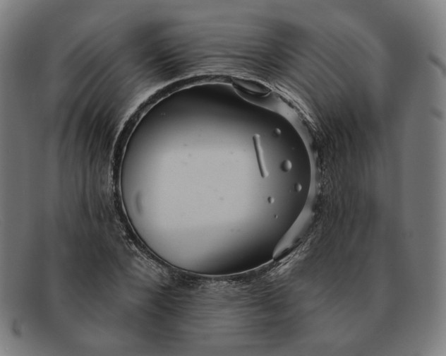 X0000091310880200708311354