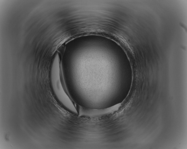 X0000091310881200708311354