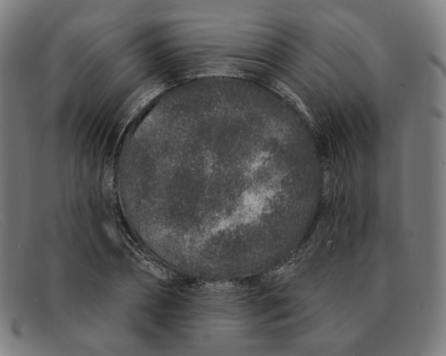 X0000091310882200708311354