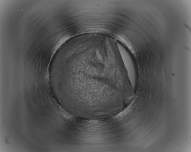 X0000091310883200708311354