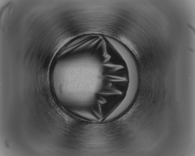 X0000091310884200708311354