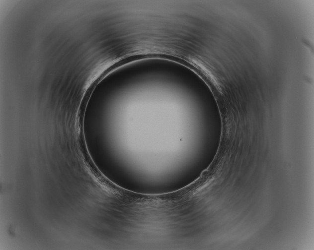 X0000091310885200708311354