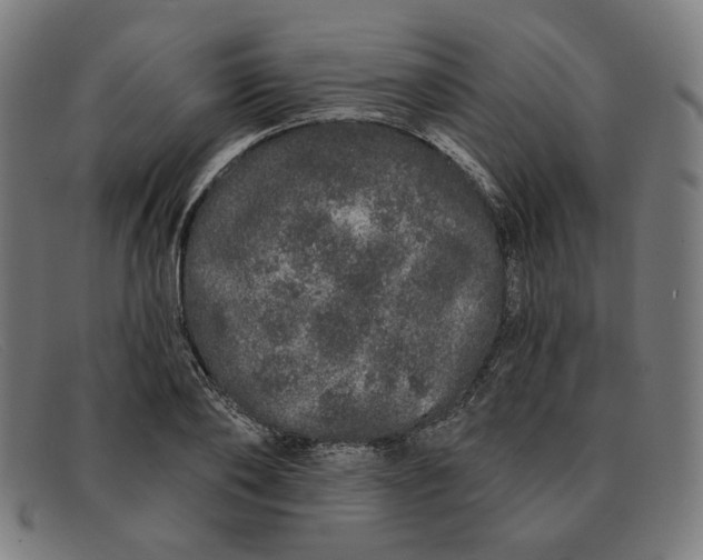 X0000091310886200708311354